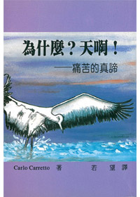 為什麼?天啊!-痛苦的真諦