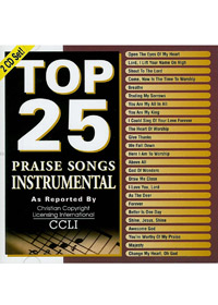 TOP 25 PRAISE INSTRUMENTAL 2CD