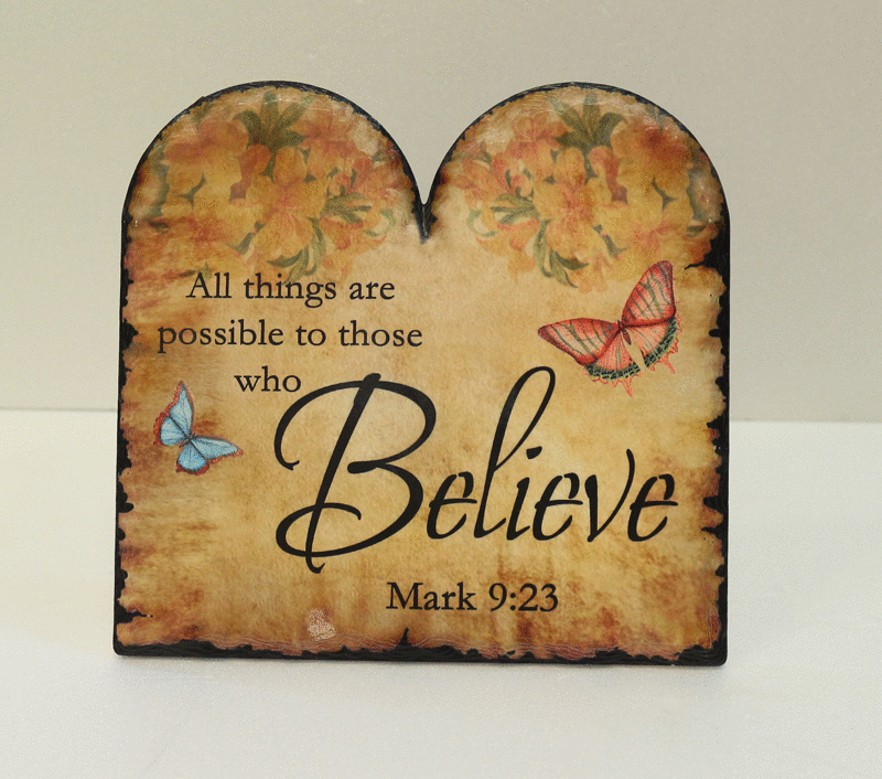 雙門型樹脂擺掛兩用(多款)