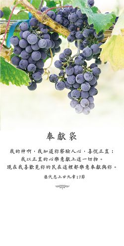 (30入)-紫葡萄樹月定奉獻袋ELOB001