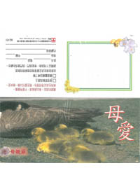 母愛-福音張單