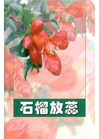 石榴放蕊