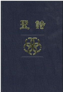 聖詩SB(2009年版本8版)/650首
