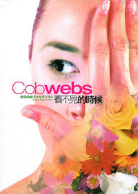 看不見的時候 DVD