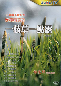 一枝草一點露(台語)DVD