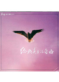 給我真正的自由CD/天韻創作(8)