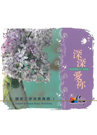 深深愛你CD/演奏