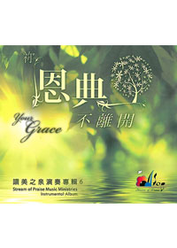 你恩典不離開CD/讚美之泉演奏專輯6