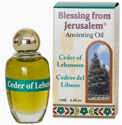 黎巴嫩香柏樹(淺綠)-Cedar of Lebanon-以色列橄欖油/膏油