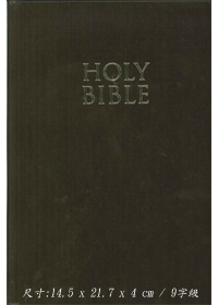 HOLY BIBLE(NIV)棕-LARGE PRINT