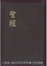 聖經/CU57AZTI/金皮拉鍊索引神版