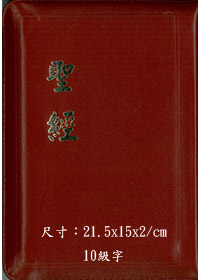 聖經/CU67Z/中型金皮拉鍊上帝版
