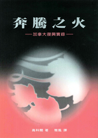奔騰之火：加拿大復興實錄