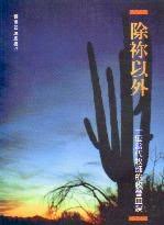 除你以外 一位當代牧師的牧會血淚