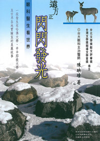 遠方正閃閃發光