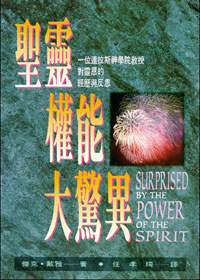 (限量)聖靈權能大驚異：一位達拉斯神學院教授對靈恩的經歷與反思