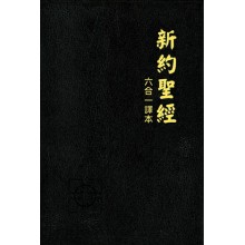 新約聖經(六合一譯本)-書況不佳