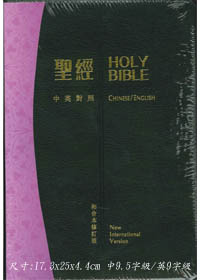 中英對照聖經RCU/NIV76ATI/和修神版索引皮面(絕版)