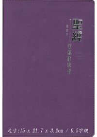 聖經/CCT5957/領導事奉版(2013紫皮.銀邊)