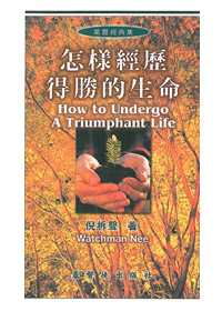 怎樣經歷得勝的生命