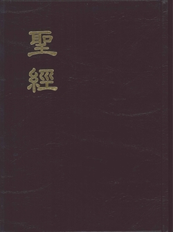 聖經-浸字版/浸神版(現代標點和合本，大字版聖經)