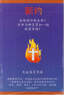 新約-見證聖靈書籍(簡體)