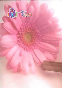 基督徒生活-造就系列04