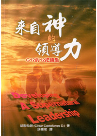 來自神的領導力