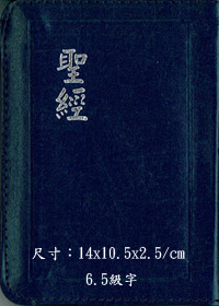 聖經/CU37AZTI/神版/拉鍊/姆指索引