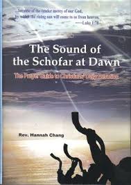 The Sound of the Schofar at Dawn(黎明角聲英文版)