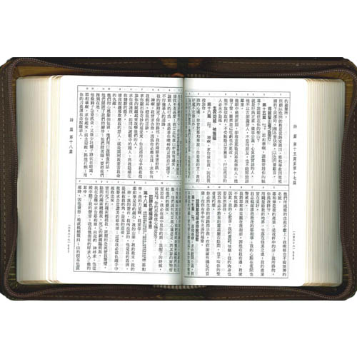 圣经/和合本3系列-双拼俪皮拉链墨绿金边