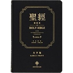 圣经(522) 中英对照(70) niv - 和合本(13) 