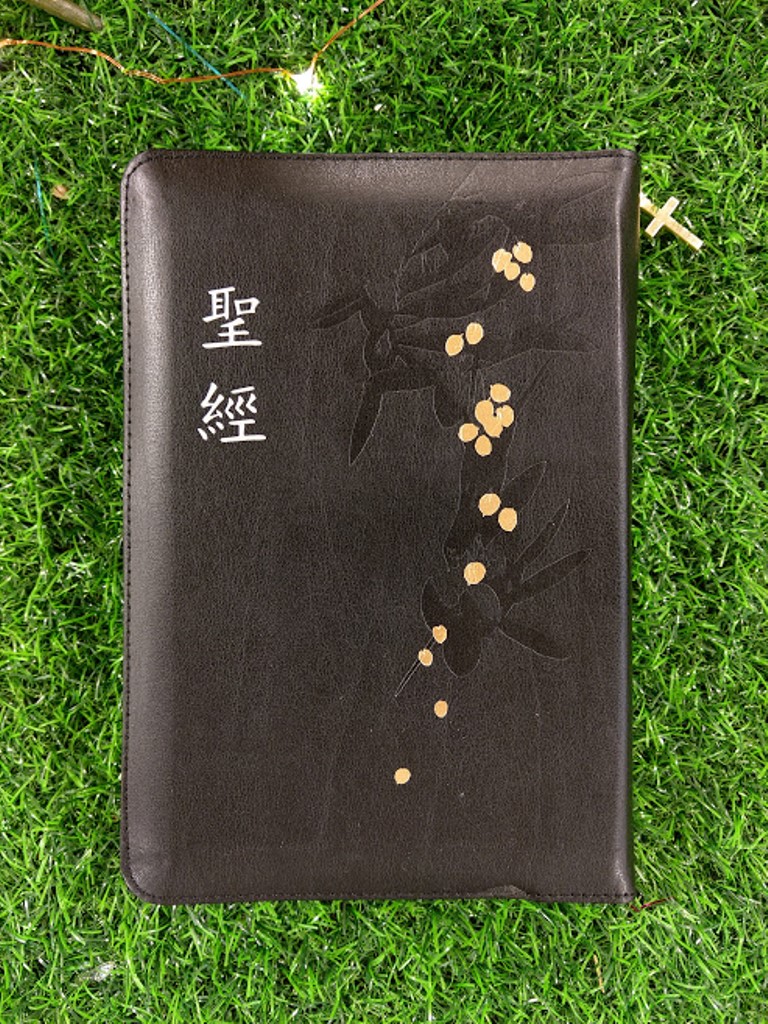 聖經/SR66ARTIZ1.1/新標點和合本儷皮拉鍊索引(黑金)