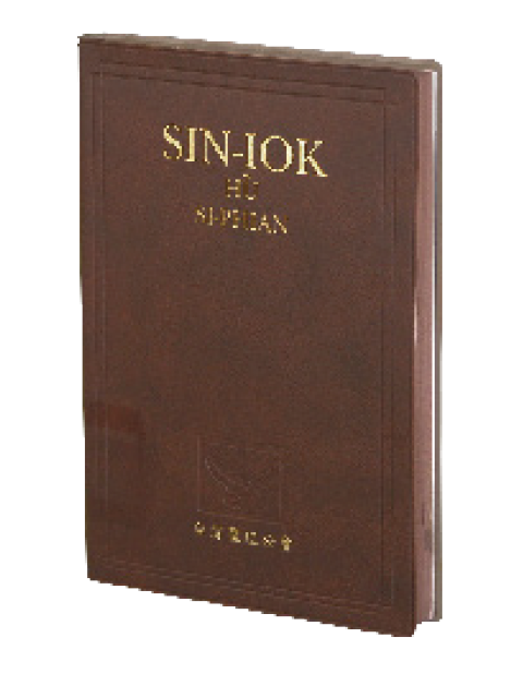 台語聖經-羅馬字-新約附詩篇(大字版.膠面)