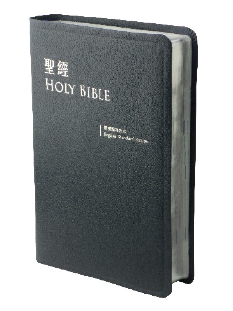 中英聖經(新標點和合上帝版/ESV.大型.皮面.銀邊.藍)