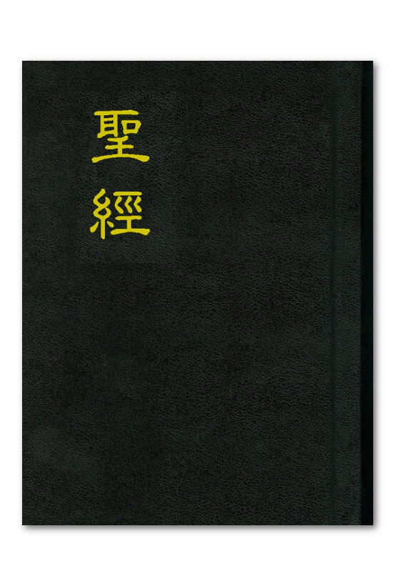 聖經-浸字版/浸神版(B11N12/新標點和合本)