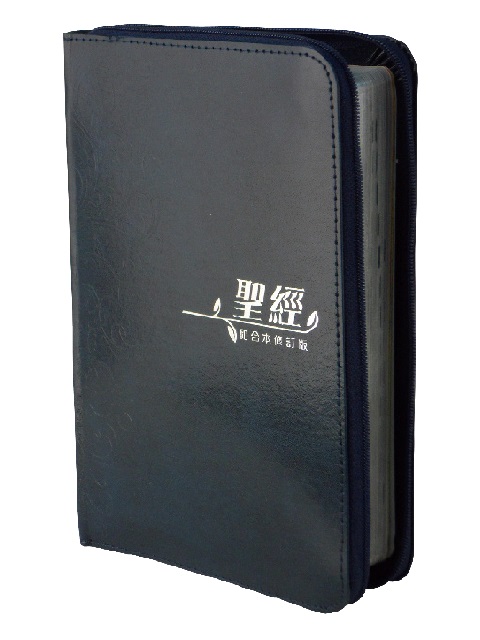 聖經/RCUH66XZBU/和修橫排中型上帝拉皮(藍)