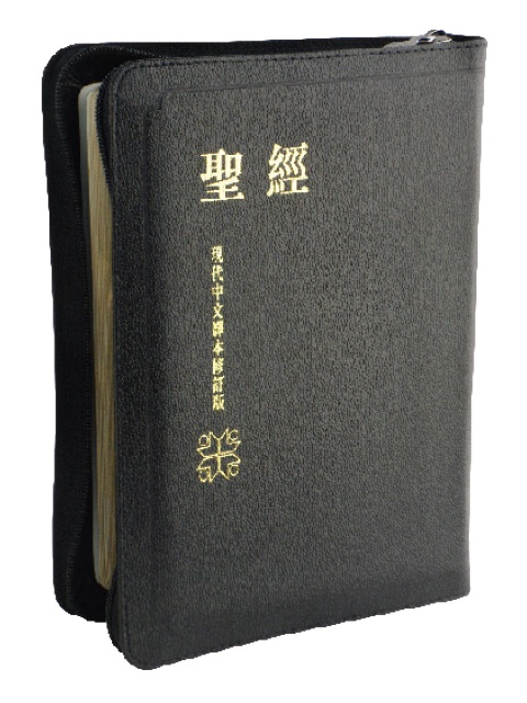 聖經/TCV067PZ/現代中文譯本中型皮拉練