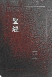 聖經/SR67ARTI3.2/豪華皮面索引紅字版(棗紅皮面銀邊)