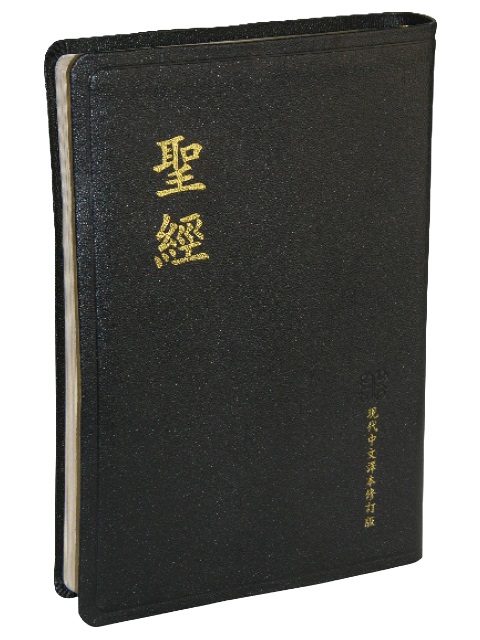 聖經/TCV077PG/現代中文譯本大字皮面金邊
