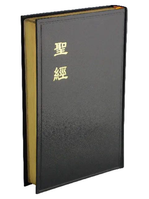 聖經/CU83AG/和合本大字聖經--神版硬面金邊