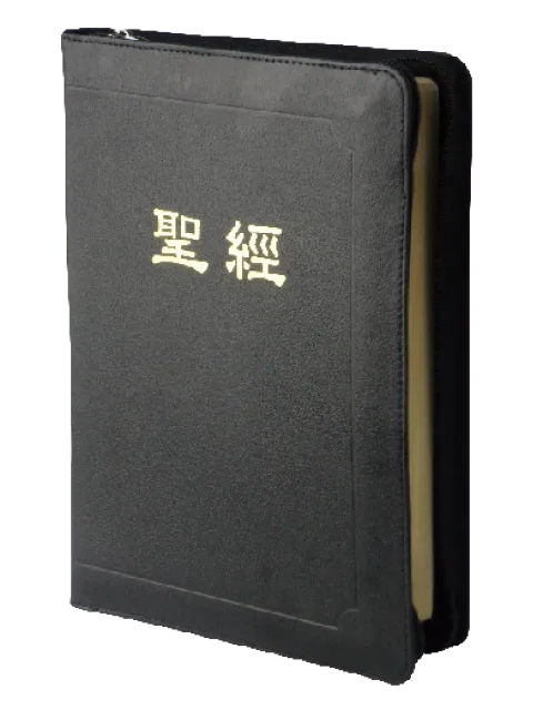 聖經/CUNPCS077Z/新標點橫排串珠(上帝版)