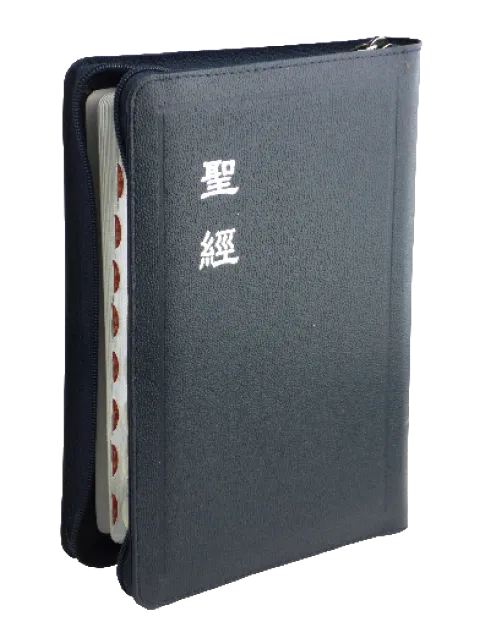 聖經/CU67AZTIBU/和合本拉鍊索引金邊(藍)