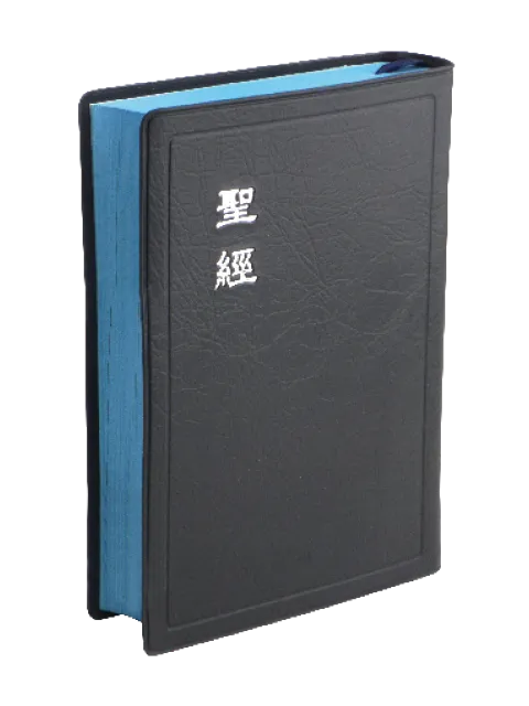 聖經/CU52BU/和合本膠皮上帝版(藍)