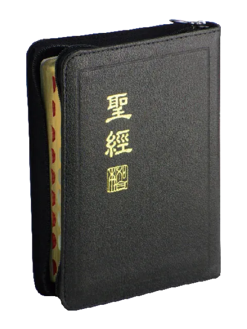 聖經/CUNP57ZTI/新標點和合本-上帝版(真皮拉鍊索引金邊)