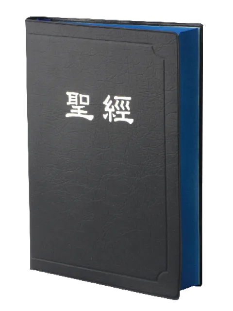 聖經/CUNPCS072BU/新標點和合本串珠聖經-上帝版(藍色膠皮)