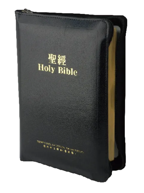 中英聖經/TEV/TCV54DIZ/現代英文/現代中文-上主版(黑色皮面金邊)