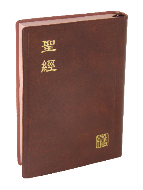 聖經/CUNP52BR/新標點和合本上帝版-膠面咖啡邊
