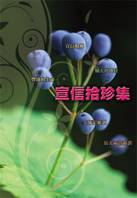 宣信拾珍集