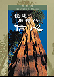 極速增長的信心
